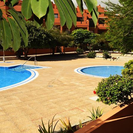 Alquilaencanarias El Medano Sotavento, Great Terrace And Beach Εξωτερικό φωτογραφία