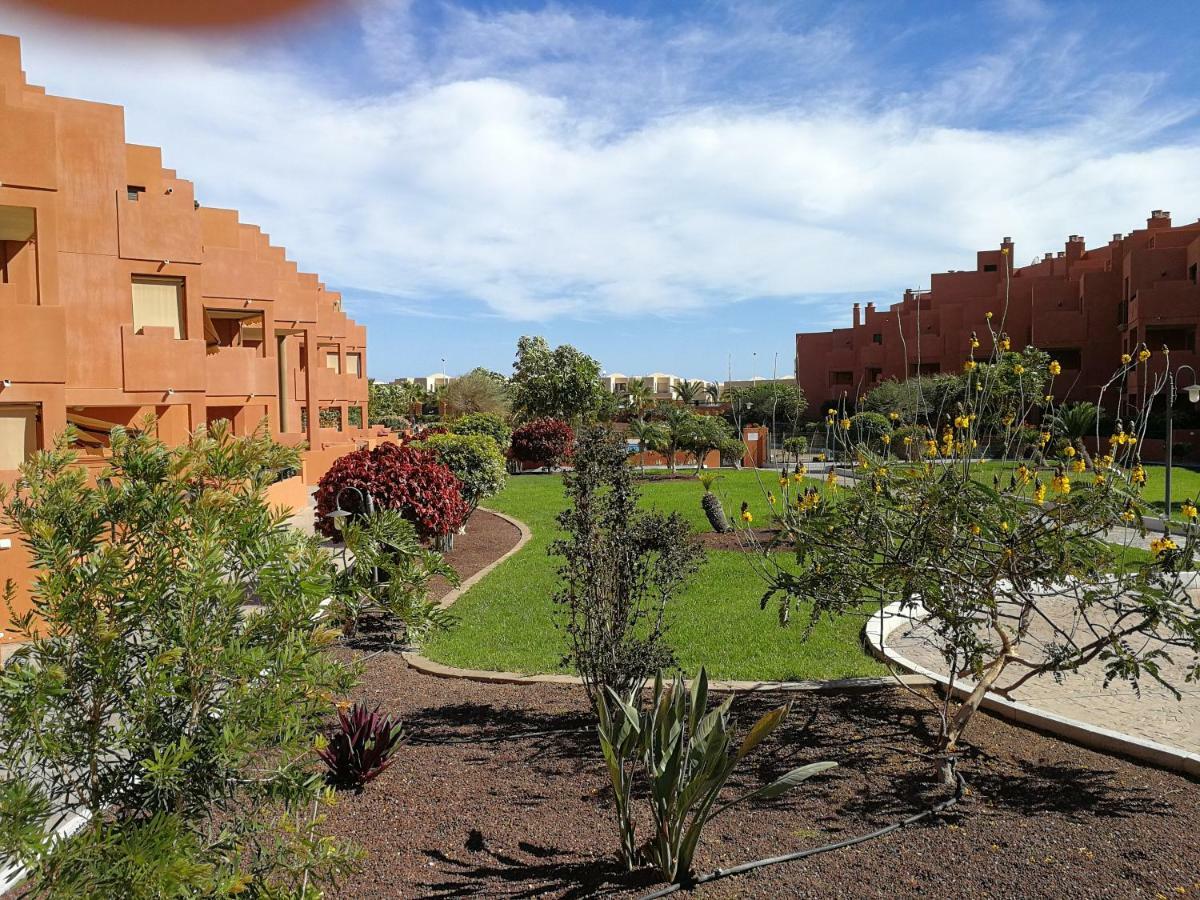 Alquilaencanarias El Medano Sotavento, Great Terrace And Beach Εξωτερικό φωτογραφία